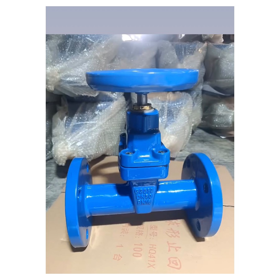 MS Flanged Gate Valve - Blue